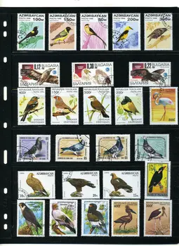 Naujas 50Pcs/Daug Paukštis Papūga Erelis Visos Skiriasi Nuo Daugelyje Šalių NE Kartoti neantspauduoti Pašto Ženklų Kolekcionavimas